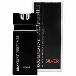 عطر جیبی مردانه برندینی مدل Silver حجم 25 میلی لیتر،خرید آنلاین،فروشگاه اینترنتی آف تپ